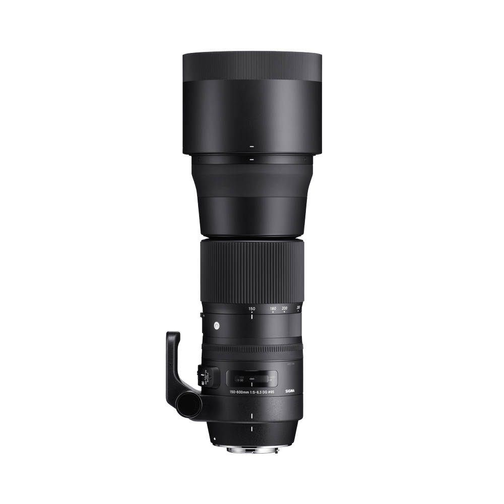 Sigma 150-600mm f/5-6.3 DG OS EF